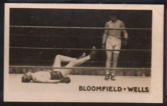 2 Bloomfield Wells